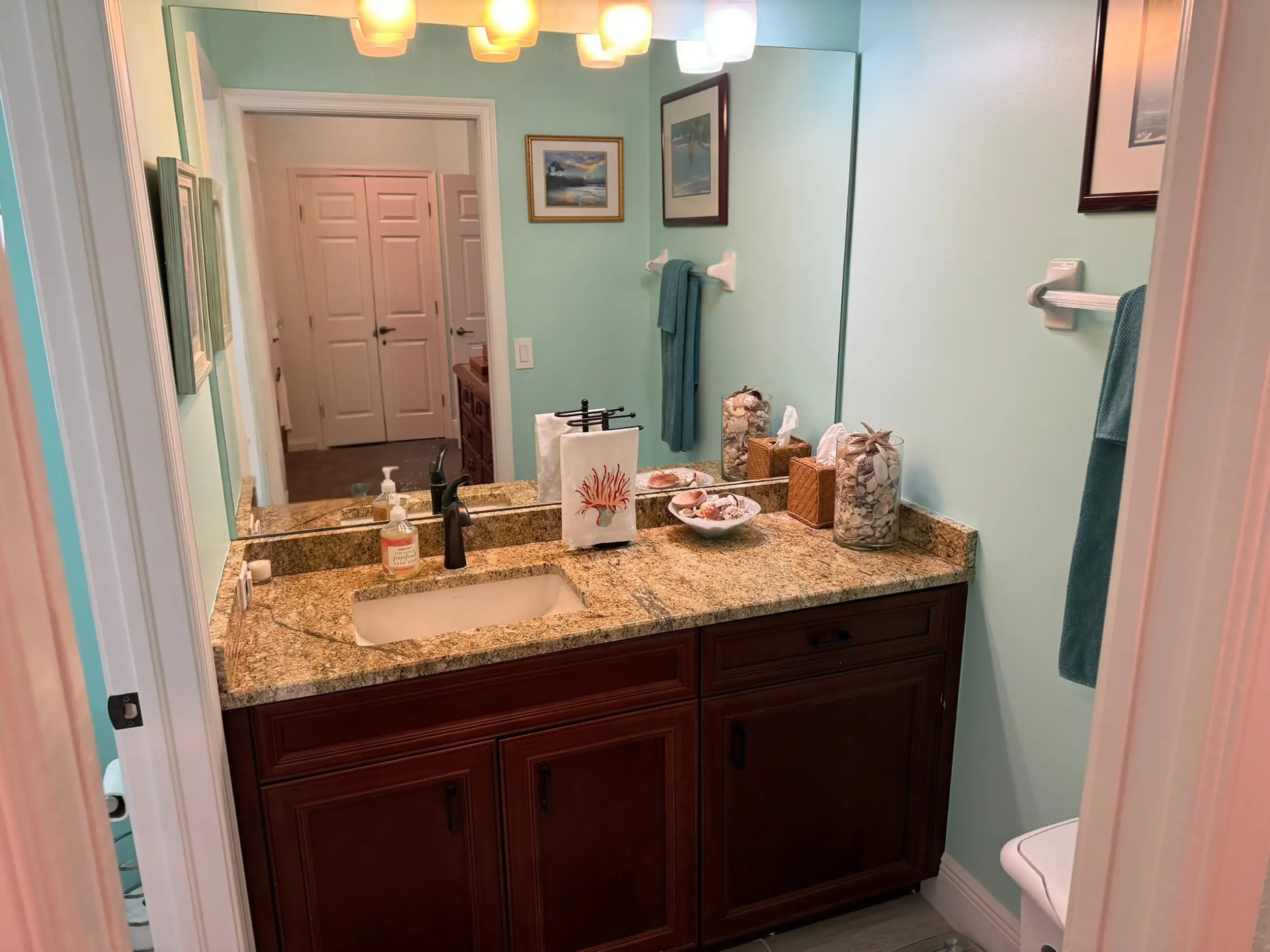 Guest Bathroom Before